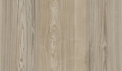 Wood Texture